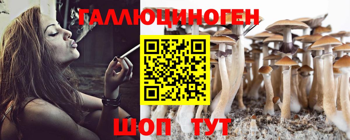 Псилоцибиновые грибы Cubensis Топки